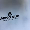 2022 Armstrong Fg Sup Wing - 5' 8