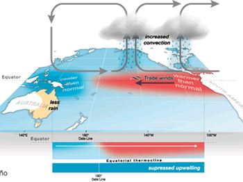 Why El Nino is the Best Xmas Present EVER for Anglers! - Fishing News