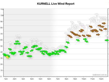 Brown Shorts (Damaging Winds) in Sydney - Kitesurfing News