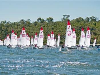 55 Sabres Swarm the Swan - Sailing News