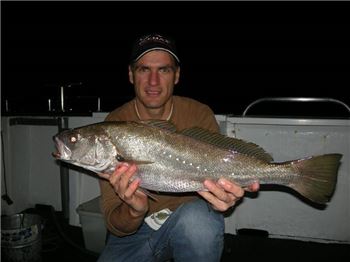 New ban commences on high-risk demersal species in WA - Fishing News