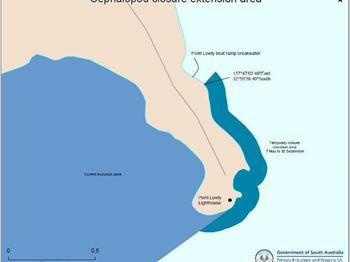 SA: Additional closure to enhance cuttlefish protection - Fishing News