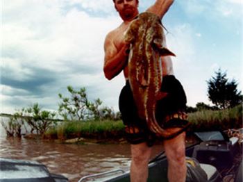 What on earth is noodling? (Hand Fishing) - Fishing News