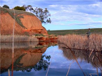 SA plans to open Reservoirs for recreational fishing - Fishing News