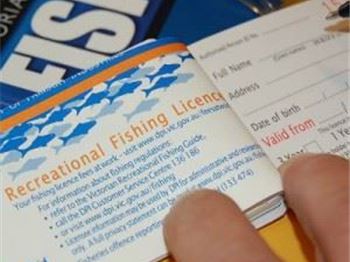 Victorian Angler fined for Fishing License Scam! - Fishing News