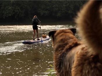 Ollie goes for a paddle (SUP Dogs) - Stand Up Paddle News