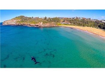 Incredible Aerial Surfing Footage from Sydney - Surfing News